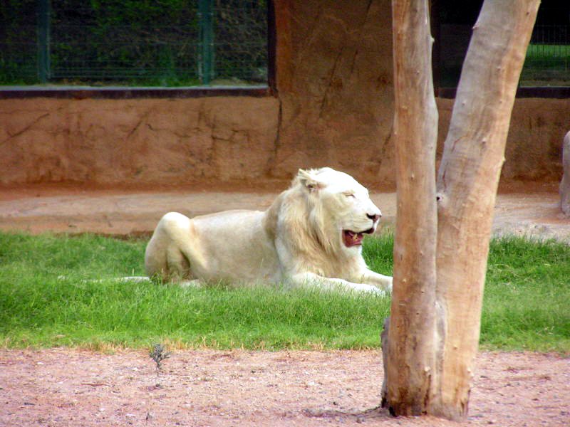 Pictures from the UAE