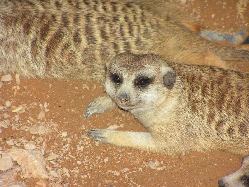 Pictures from the UAE