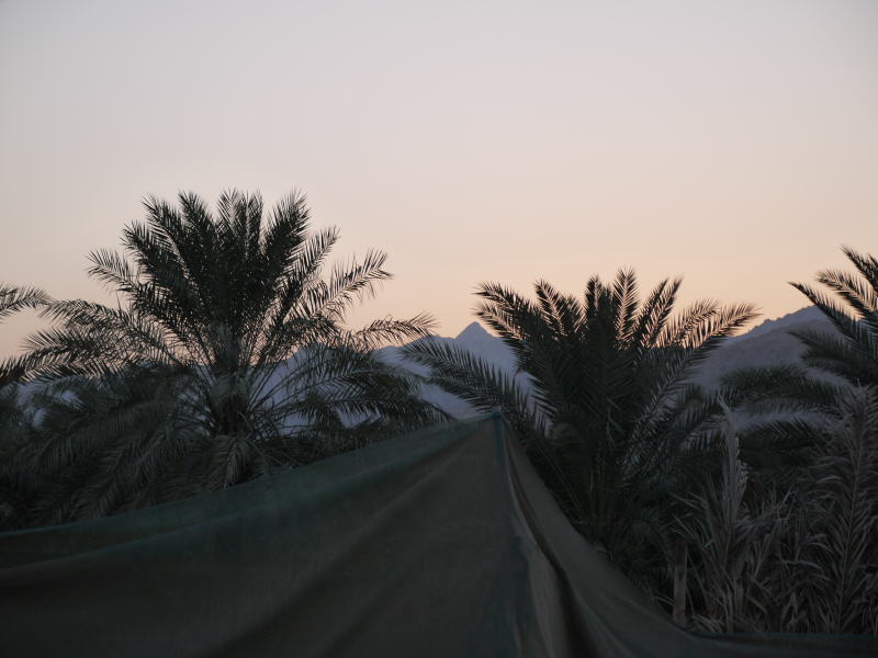 Pictures from the UAE