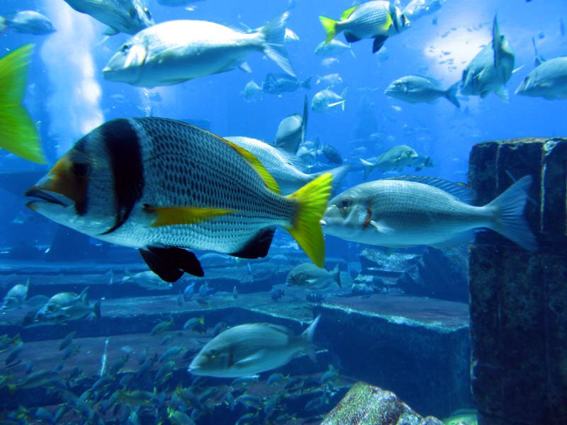 Pictures from the UAE