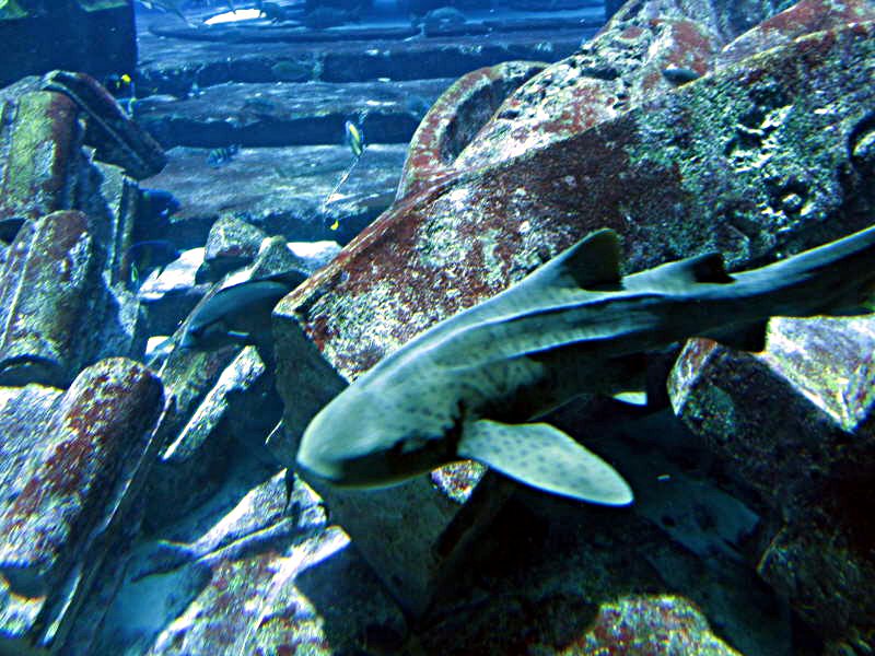 Pictures from the UAE