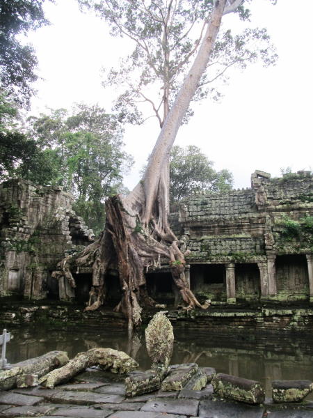 Pictures from Angkor Wat
