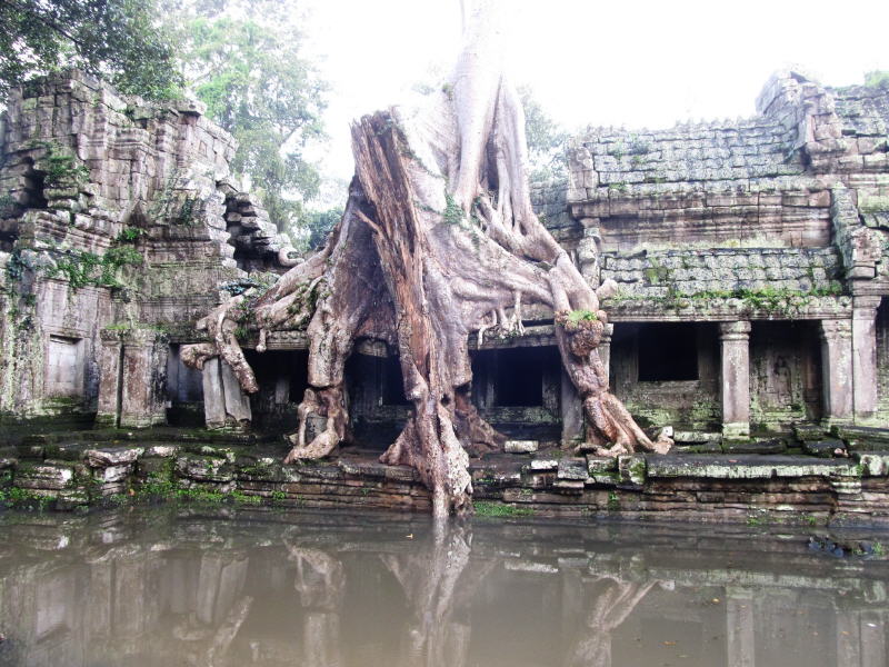 Pictures from Angkor Wat