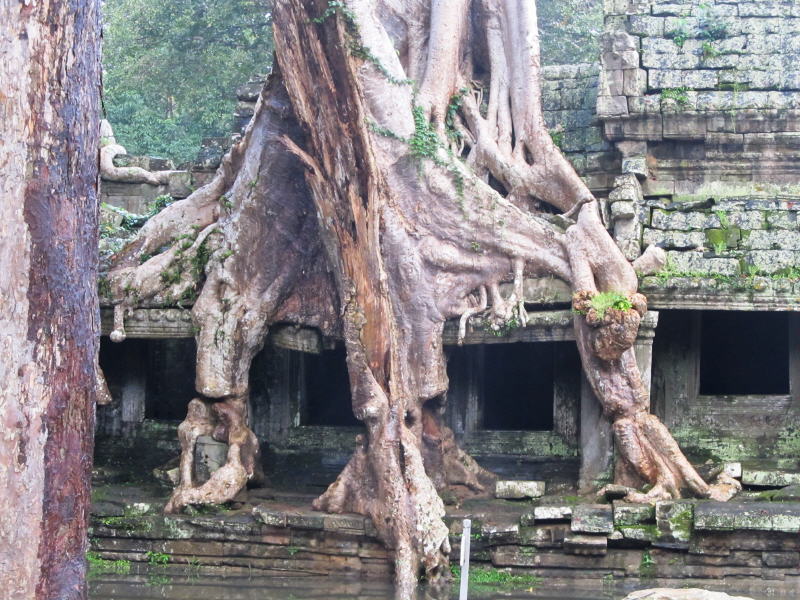 Pictures from Angkor Wat
