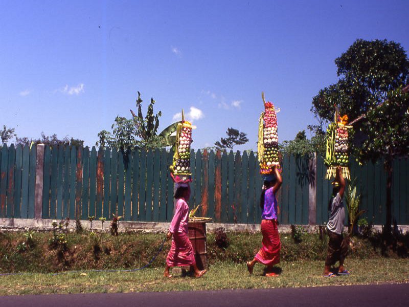 Pictures from Indonesia