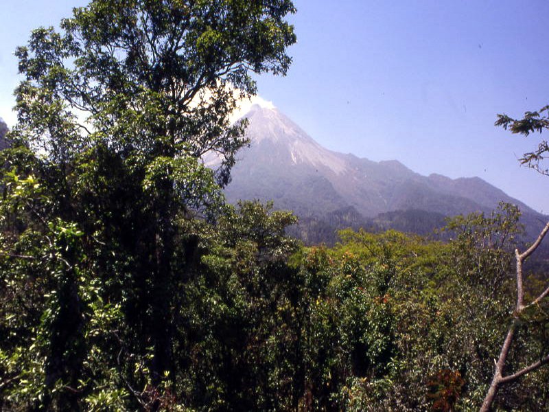 Pictures from Indonesia, Bali