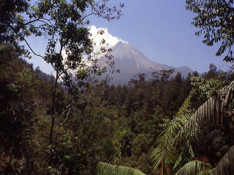 Pictures from Indonesia, Bali