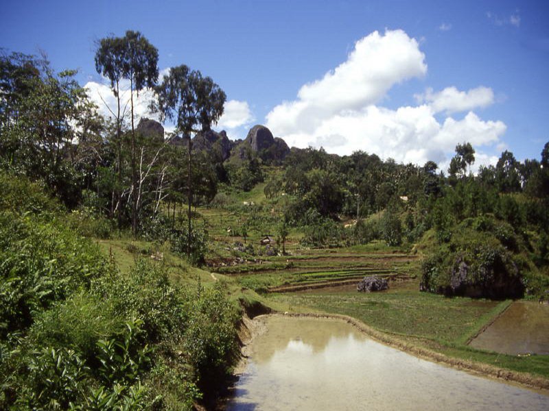 Pictures from Indonesia