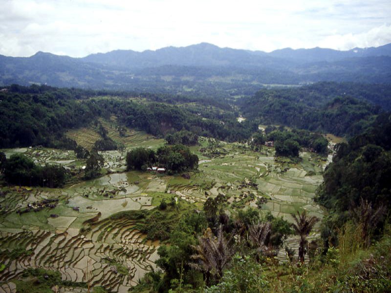 Pictures from Indonesia