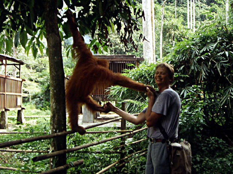 Pictures from Indonesia