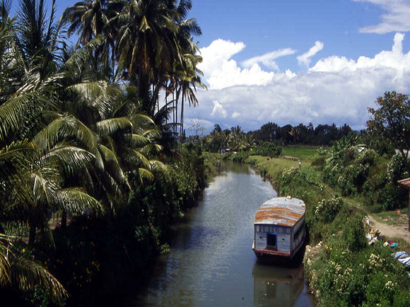 Pictures from Indonesia