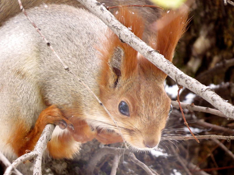 Pictures from Kazakhstan