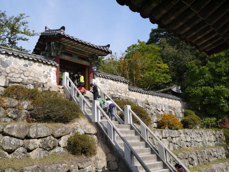 Pictures from Korea