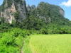 Pictures from Laos