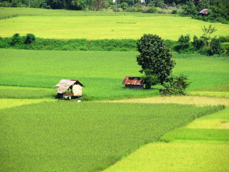 Pictures from Laos