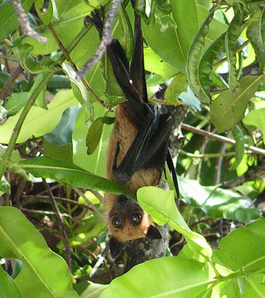 Pictures from the Maldives