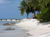 Pictures from the Maldives