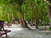 Pictures from Maldives