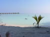 Pictures from Maldives