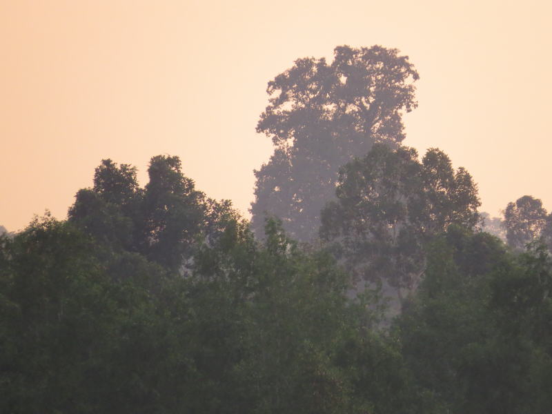 Pictures from Sarawak (Borneo)