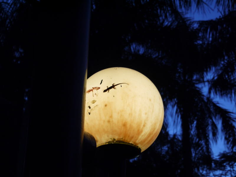 Pictures from Sarawak (Borneo)