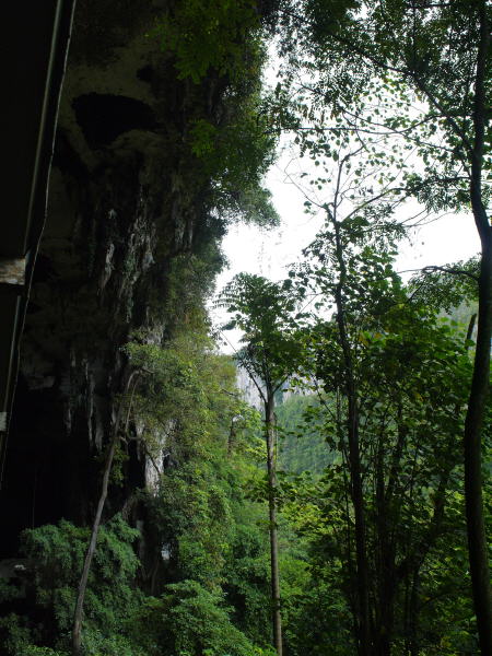 Pictures from Sarawak (Borneo)