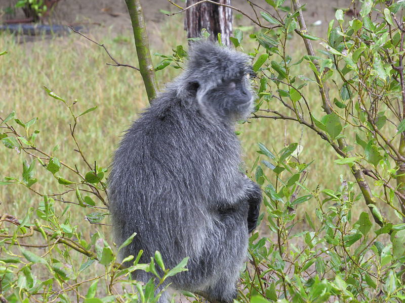 Pictures from Sarawak (Borneo)