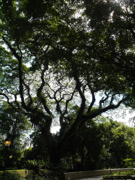 Pictures from Singapore