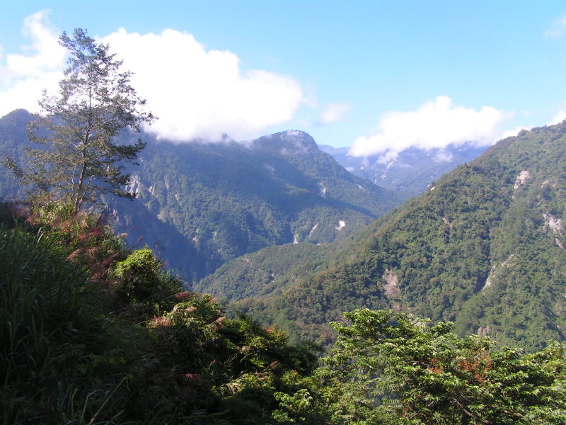 Pictures from Taiwan