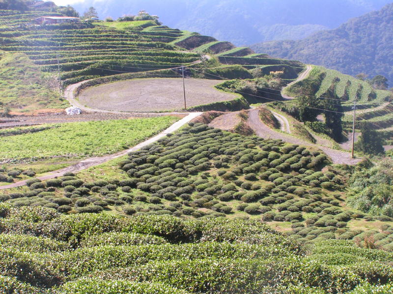 Pictures from Taiwan