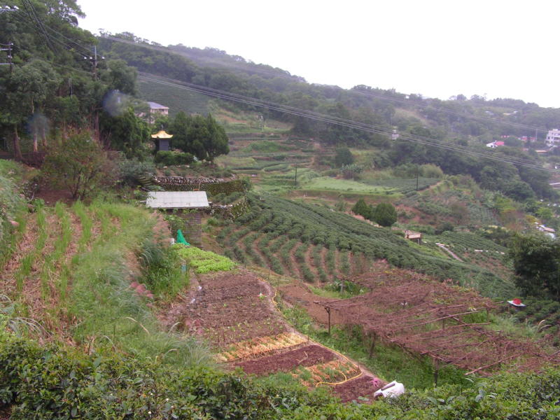 Pictures from Taiwan