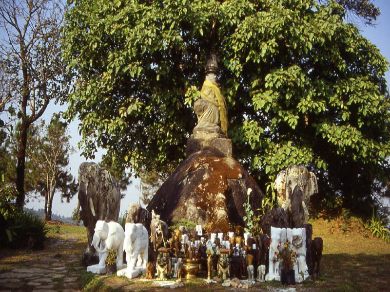 Pictures from Thailand