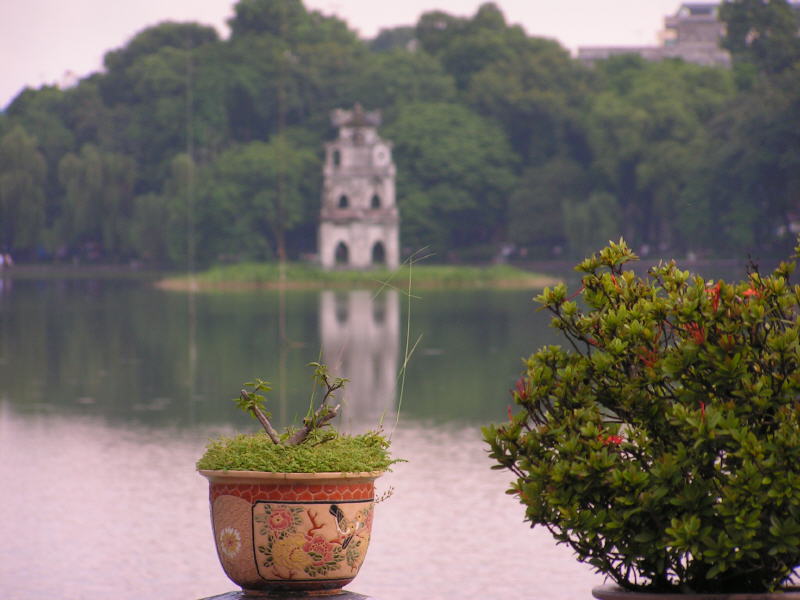 Pictures from Vietnam