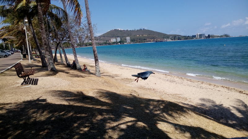 Pictures from Noumea, Newcaledonia