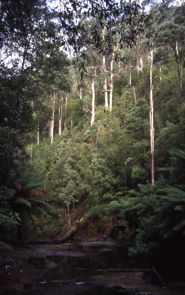 Pictures from Australia