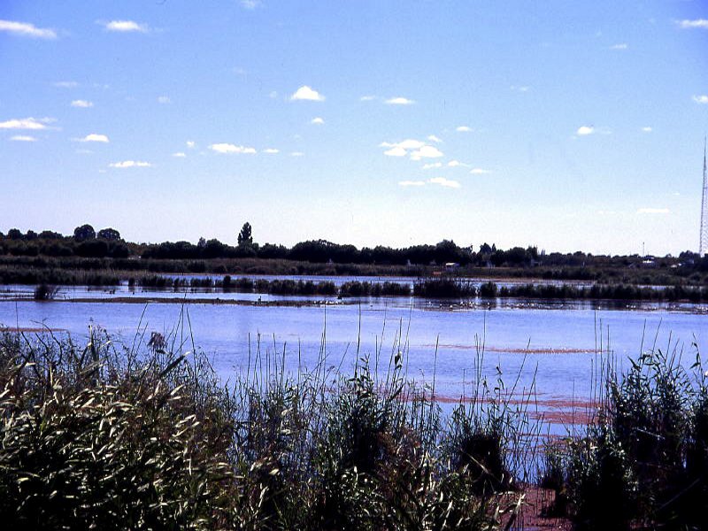 Pictures from Australia