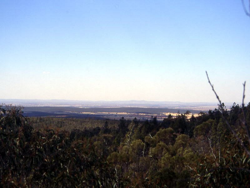 Pictures from Australia