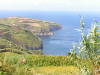 Pictures from Azores