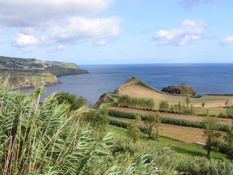 Pictures from the Azores
