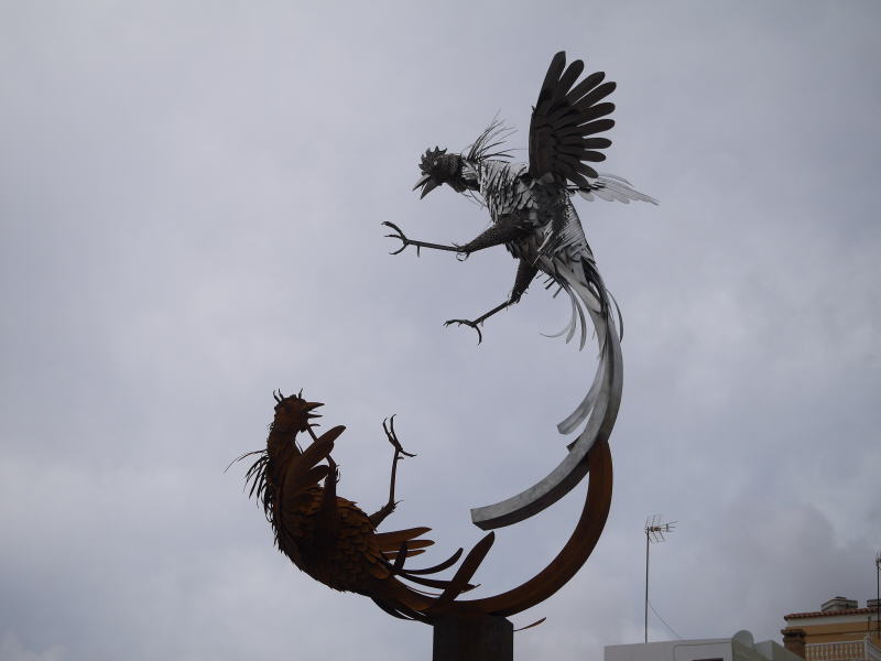 Pictures from Canary Islands