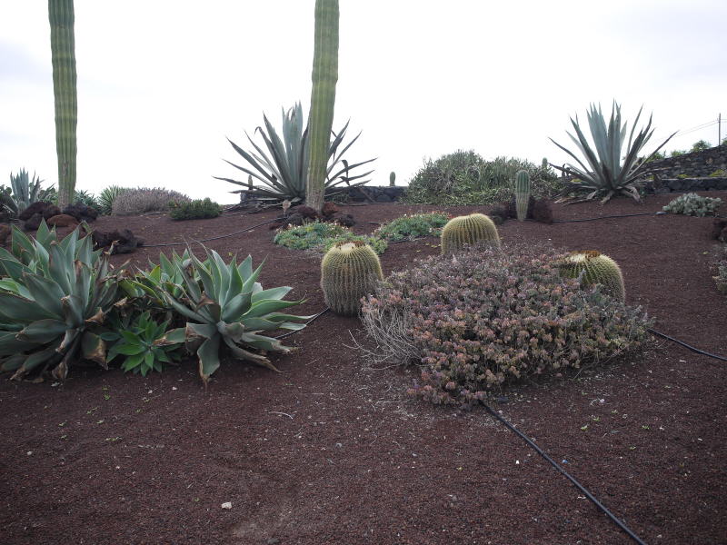 Pictures from Canary Islands