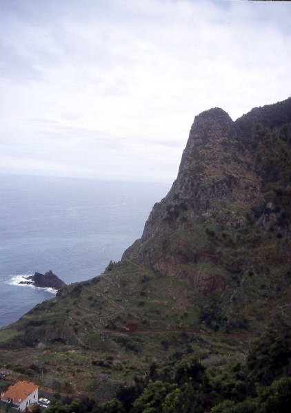 Pictures from Madeira