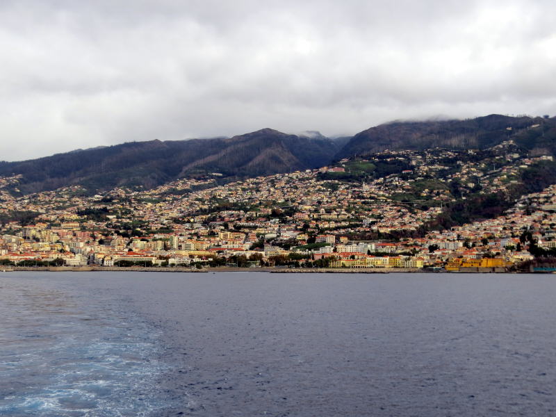 Pictures from the Madeira