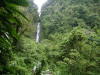 Pictures from Dominica